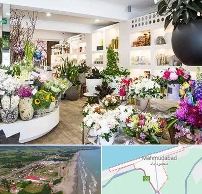 گل فروشی در محمودآباد