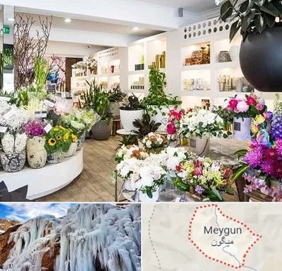 گل فروشی در میگون