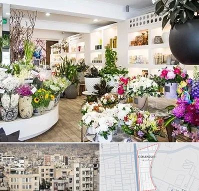 گل فروشی در اسکندری