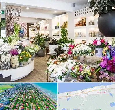 گل فروشی در فریدونکنار