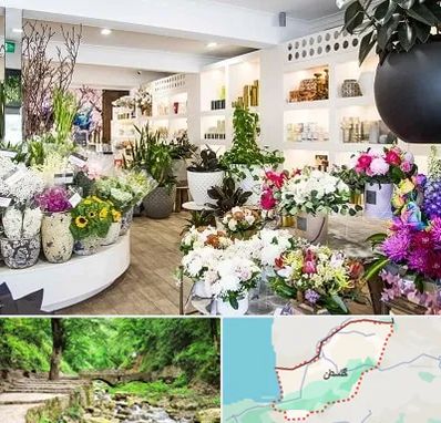 گل فروشی در گلستان