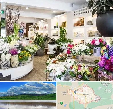 گل فروشی در مرند