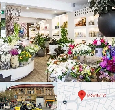 گل فروشی در مولوی