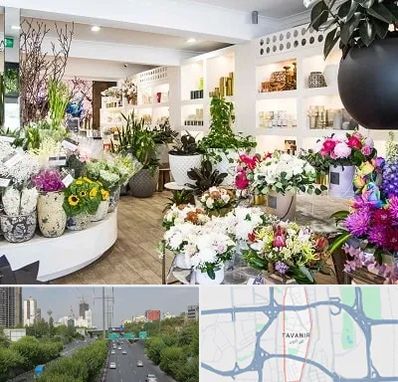 گل فروشی در توانیر