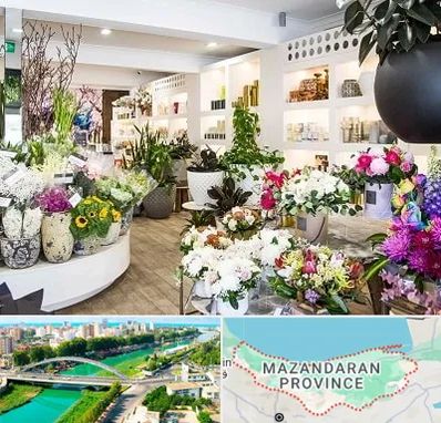 گل فروشی در مازندران