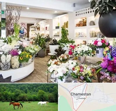 گل فروشی در چمستان