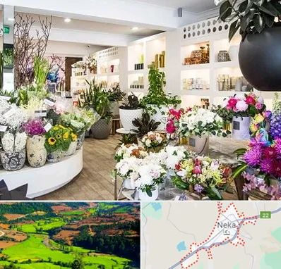 گل فروشی در نکا