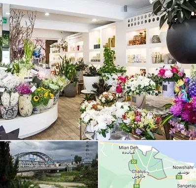 گل فروشی در چالوس