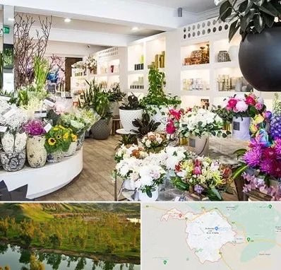 گل فروشی در بهبهان