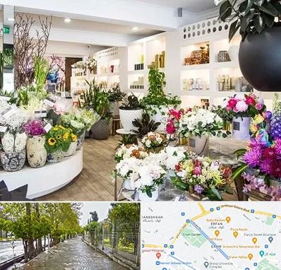 گل فروشی در خیابان ارم شیراز