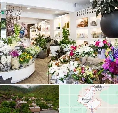 گل فروشی در کلاله