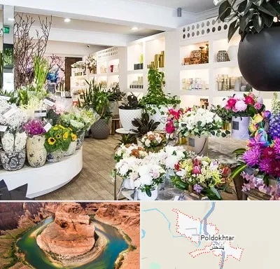 گل فروشی در پلدختر