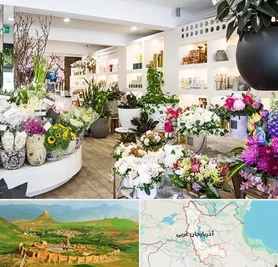گل فروشی در آذربایجان غربی