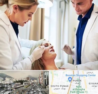 متخصص پوست و مو در پونک