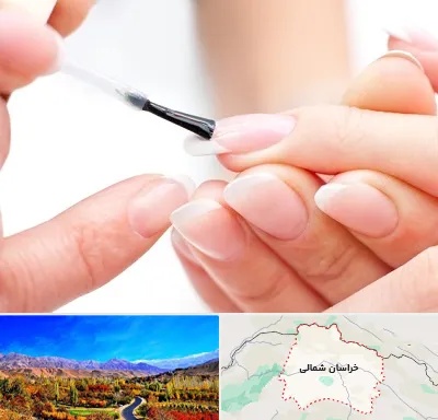ترمیم کار ناخن در خراسان شمالی