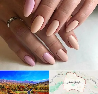 ژلیش ناخن در خراسان شمالی