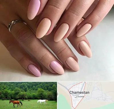 ژلیش ناخن در چمستان