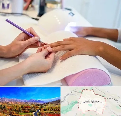 ناخن کار در خراسان شمالی