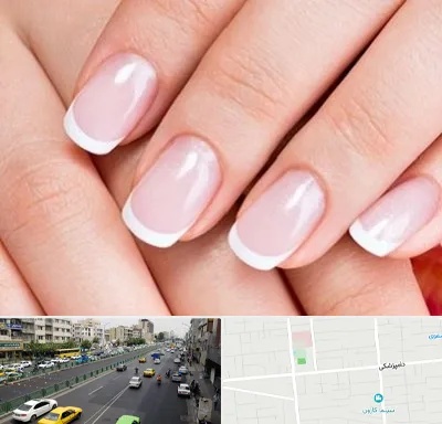 لمینت ناخن در خیابان دامپزشکی