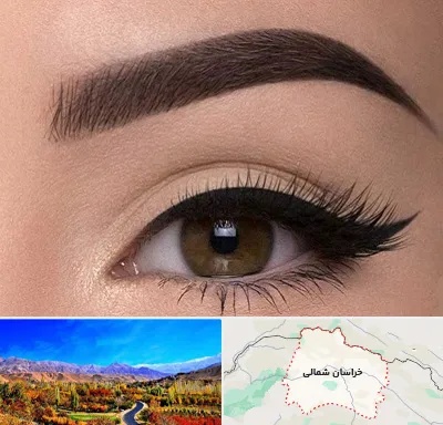 تاتو ابرو در خراسان شمالی