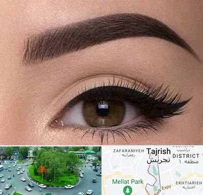 تاتو ابرو در تجریش 