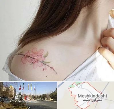 تاتو کار خانم در مشکین دشت