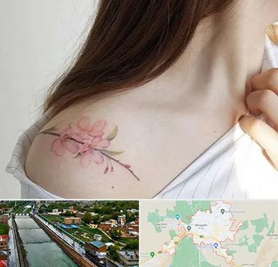 تاتو کار خانم در مراغه