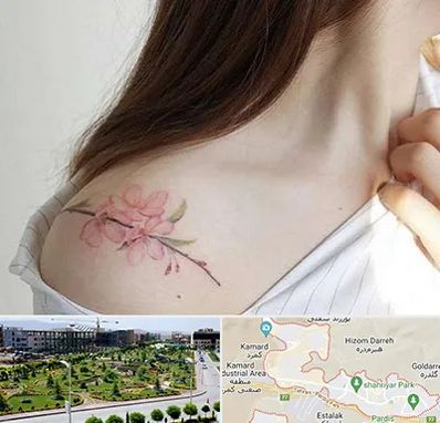 تاتو کار خانم در پردیس