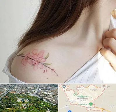 تاتو کار خانم در شهرکرد