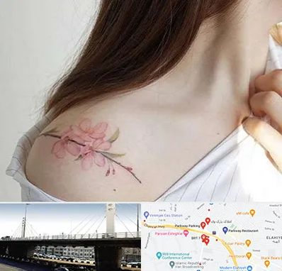 تاتو کار خانم در پارک وی 