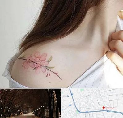 تاتو کار خانم در ابوریحان تبریز