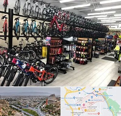 فروشگاه دوچرخه در معالی آباد شیراز