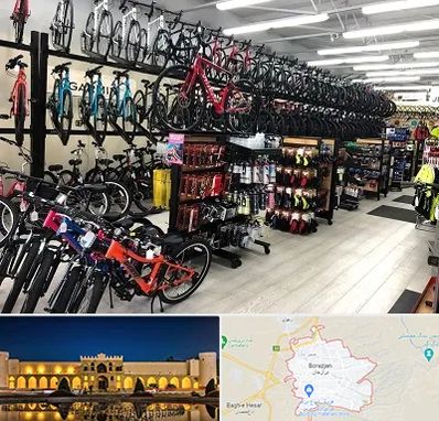 فروشگاه دوچرخه در برازجان