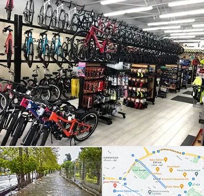 فروشگاه دوچرخه در خیابان ارم شیراز