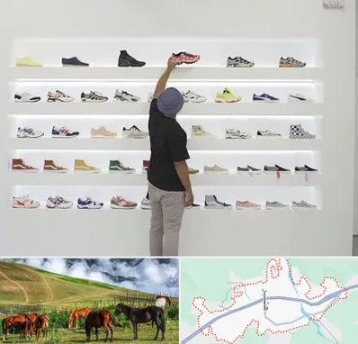 فروشگاه کفش ورزشی در تالش