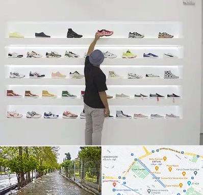 فروشگاه کفش ورزشی در خیابان ارم شیراز