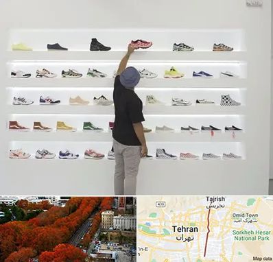 فروشگاه کفش ورزشی در ولیعصر 