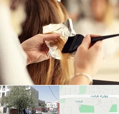 آرایشگاه رنگ و مش در طرشت