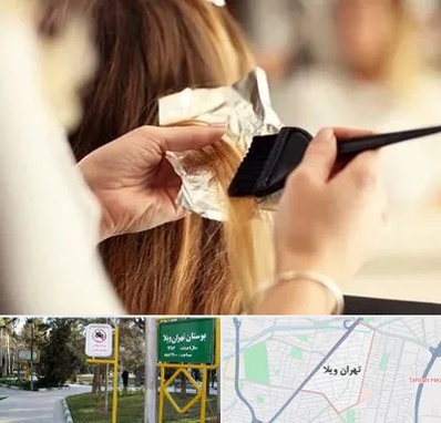 آرایشگاه رنگ و مش در تهران ویلا