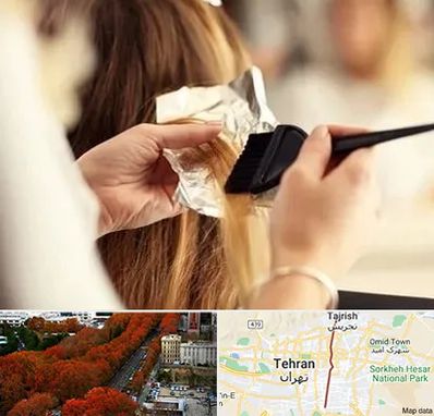 آرایشگاه رنگ و مش در ولیعصر