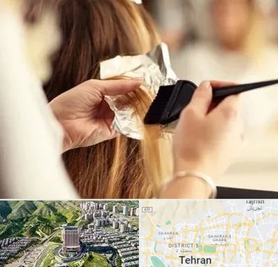 آرایشگاه رنگ و مش در شمال تهران