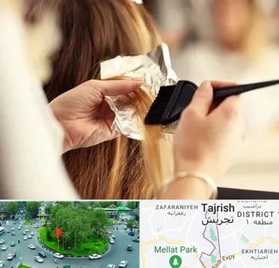 آرایشگاه رنگ و مش در تجریش