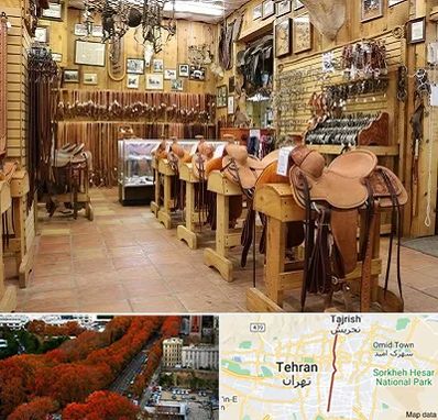 فروشگاه لوازم سوارکاری در ولیعصر 