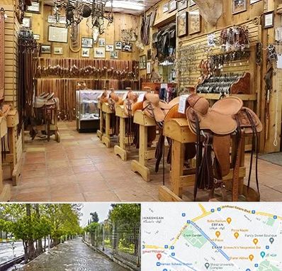 فروشگاه لوازم سوارکاری در خیابان ارم شیراز