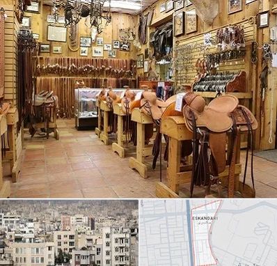 فروشگاه لوازم سوارکاری در اسکندری