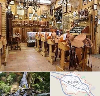 فروشگاه لوازم سوارکاری در الیگودرز