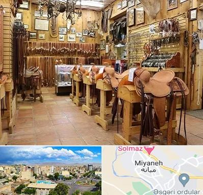 فروشگاه لوازم سوارکاری در میانه