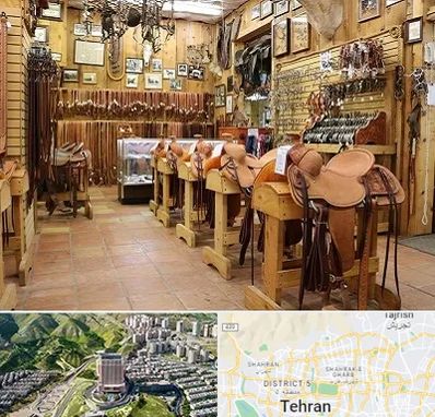 فروشگاه لوازم سوارکاری در شمال تهران 