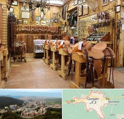 فروشگاه لوازم سوارکاری در گرگان
