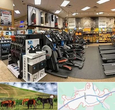 فروشگاه لوازم بدنسازی در تالش